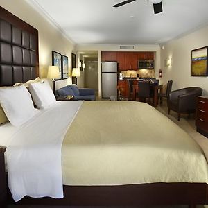 Studio Suite